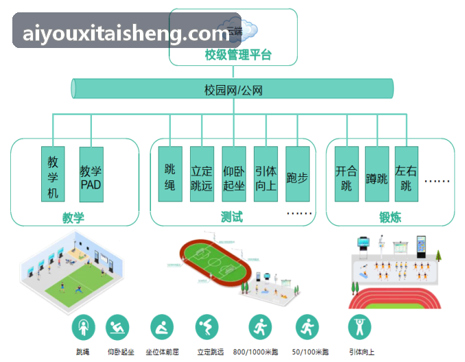 体医融合数字化运动处方在慢性代谢疾病管理中的循证进展